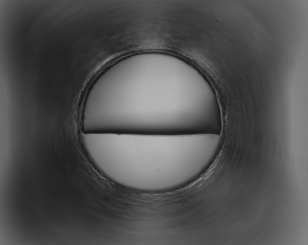 X0000097481212200802220814