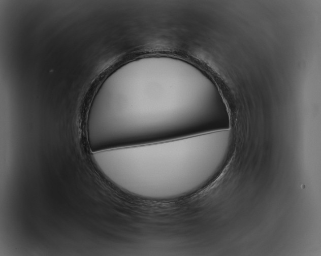 X0000097481213200802220814