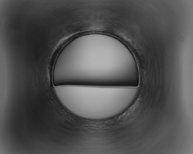 X0000097481214200802220814