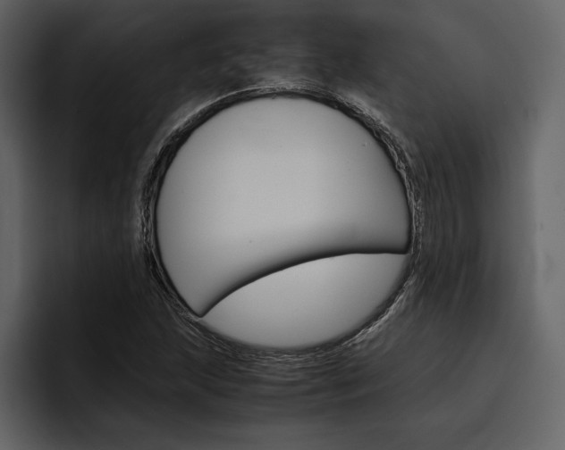 X0000097481215200802220814