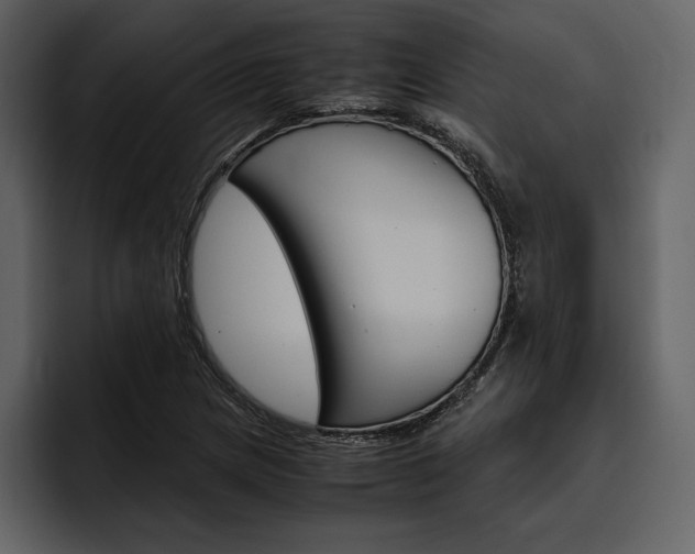 X0000097481217200802220814