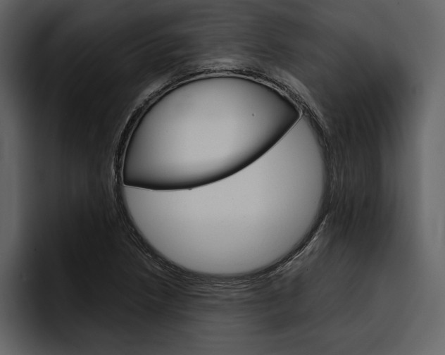 X0000097481218200802220814