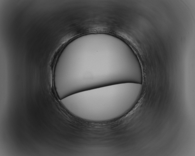 X0000097481219200802220814