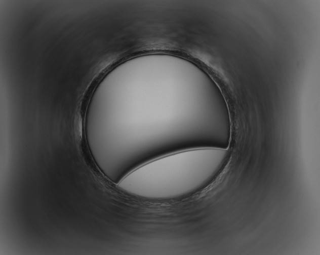 X0000097481221200802220814