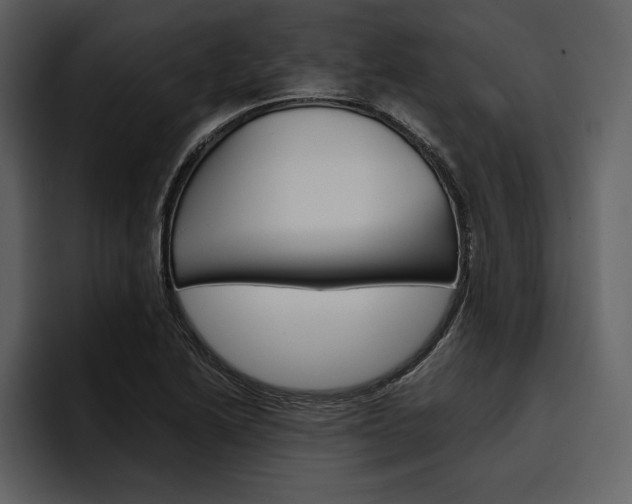 X0000097481222200802220814