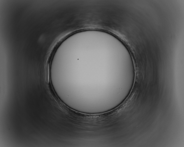 X0000097481223200802220814