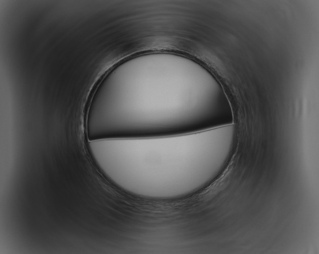 X0000097481226200802220814