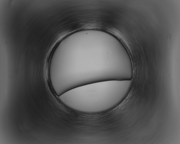 X0000097481227200802220814