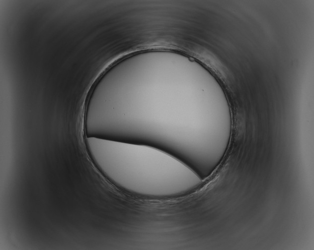 X0000097481228200802220814