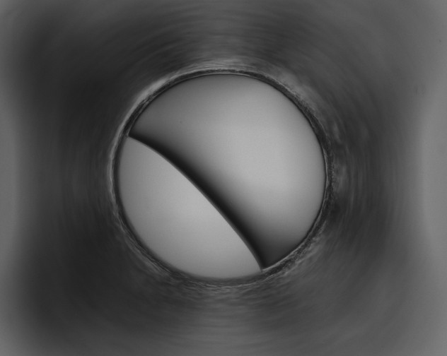X0000097481230200802220814