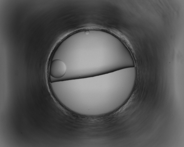 X0000097481231200802220814