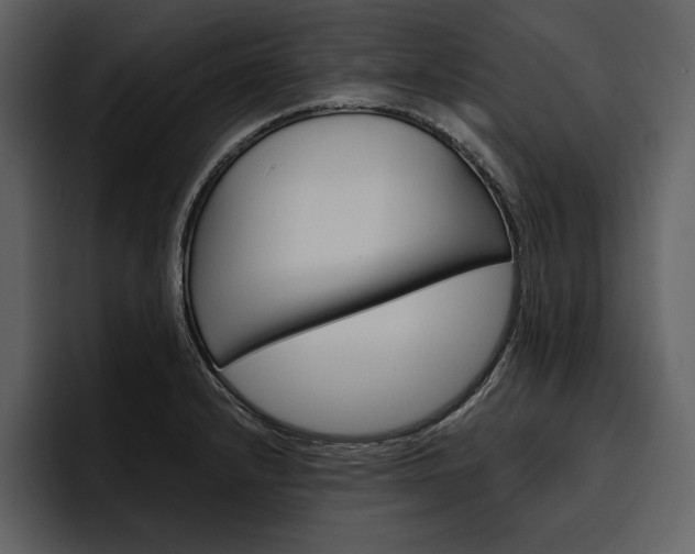 X0000097481232200802220814
