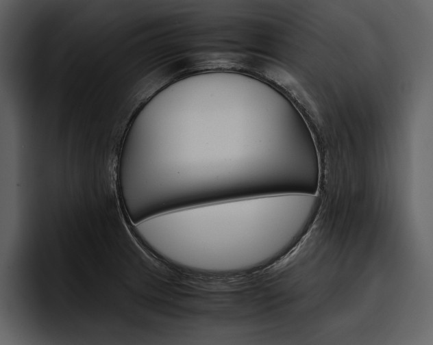 X0000097481233200802220814