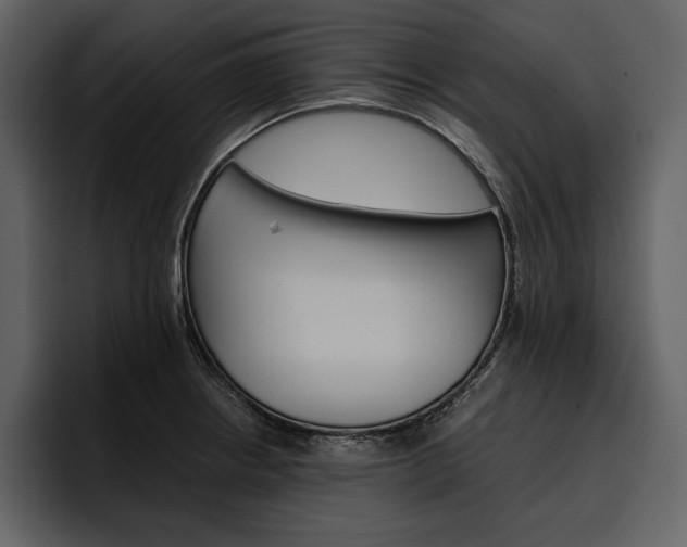 X0000097481234200802220814