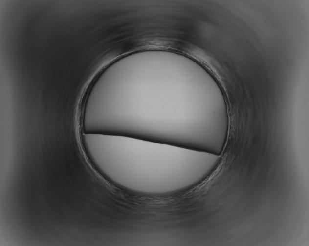 X0000097481235200802220814