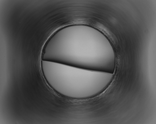 X0000097481236200802220814