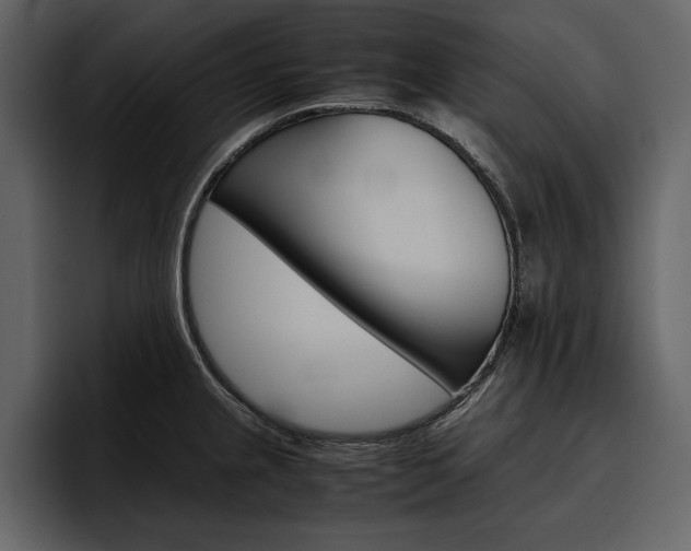 X0000097481237200802220814