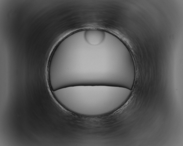 X0000097481239200802220814