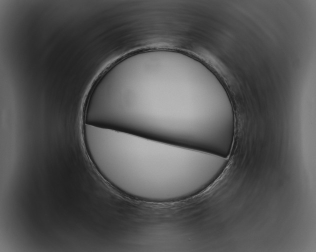 X0000097481240200802220814