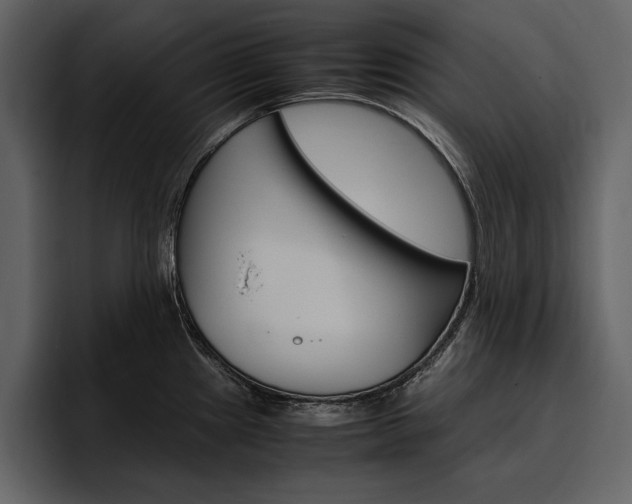 X0000097481241200802220814