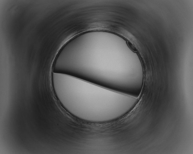 X0000097481242200802220814