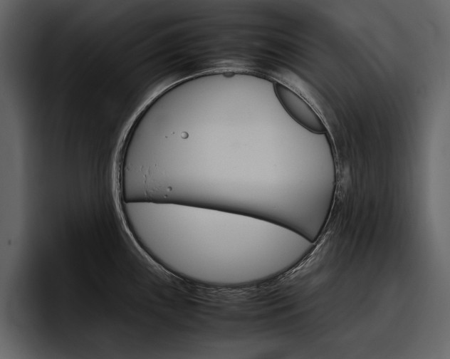 X0000097481243200802220814