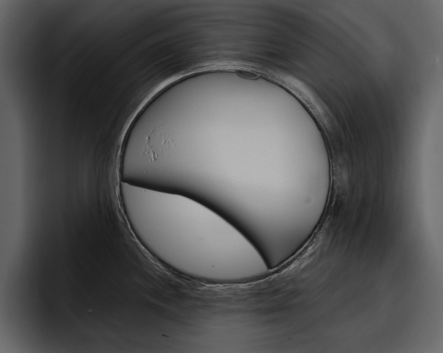 X0000097481244200802220814