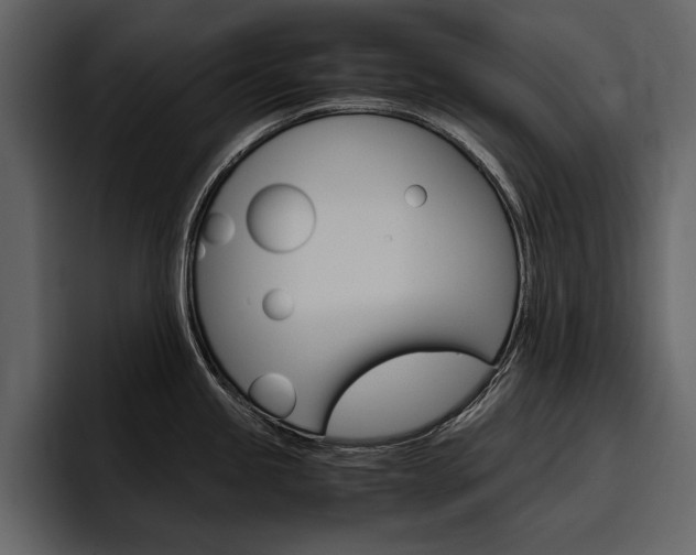 X0000097481245200802220814