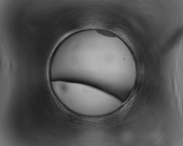 X0000097481246200802220814