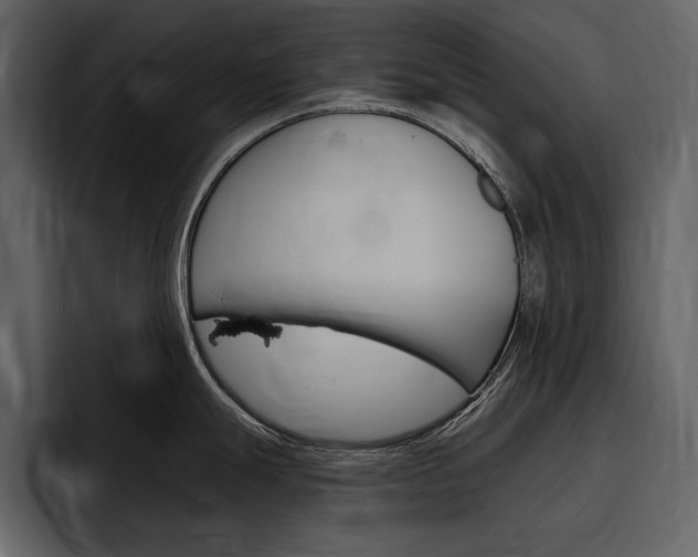 X0000097481247200802220814
