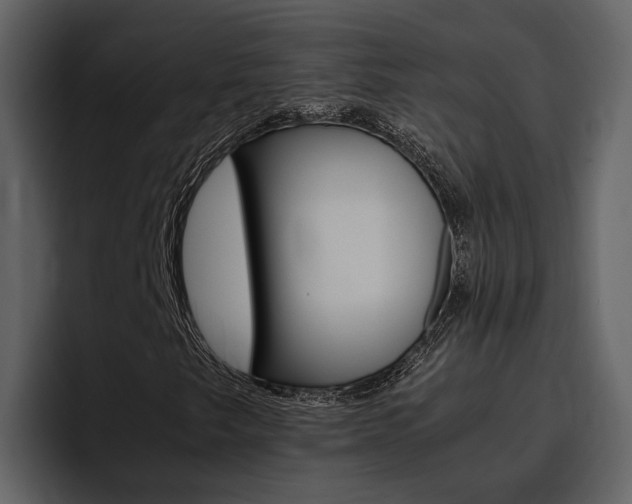 X0000097481249200802220814