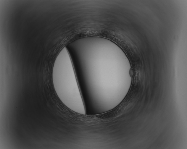 X0000097481250200802220814