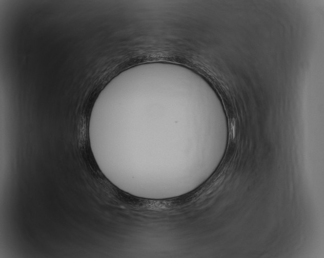 X0000097481251200802220814