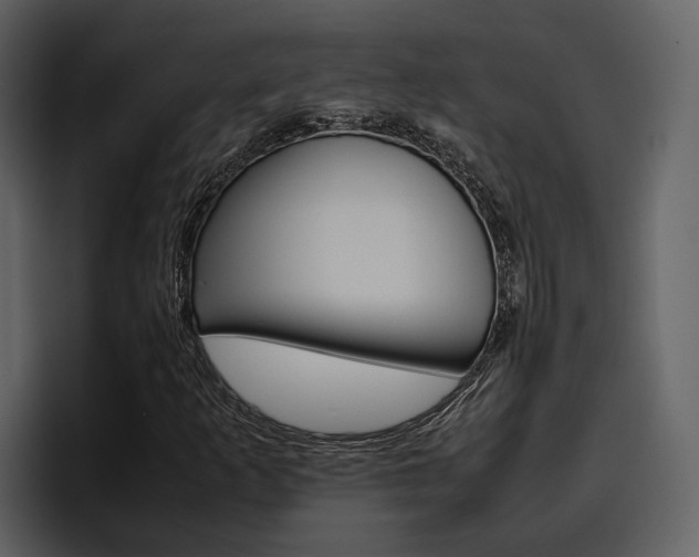 X0000097481253200802220814