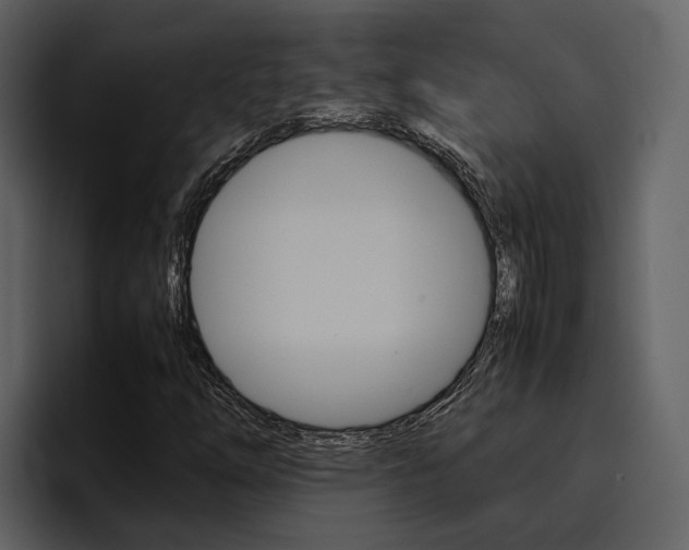 X0000097481254200802220813