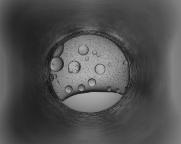 X0000097481255200802220813