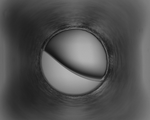 X0000097481257200802220813