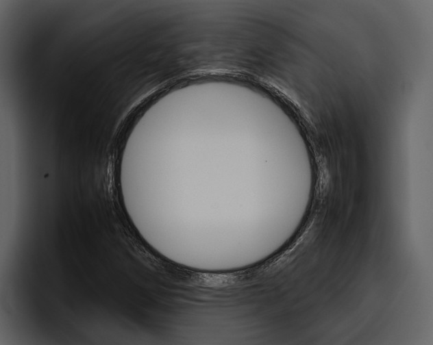 X0000097481258200802220813