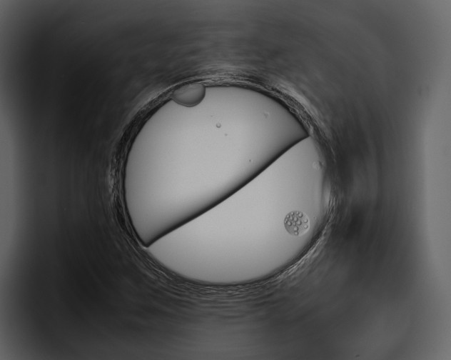 X0000097481259200802220813
