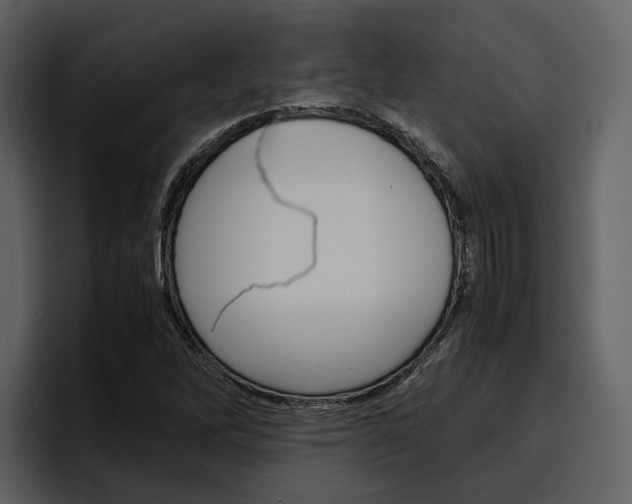 X0000097481262200802220813