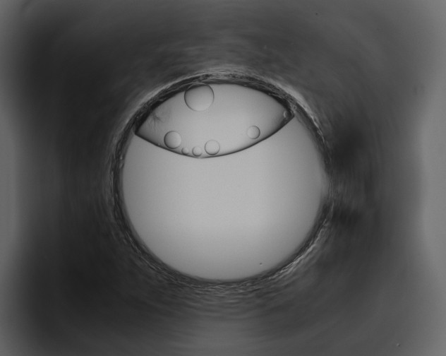 X0000097481263200802220813