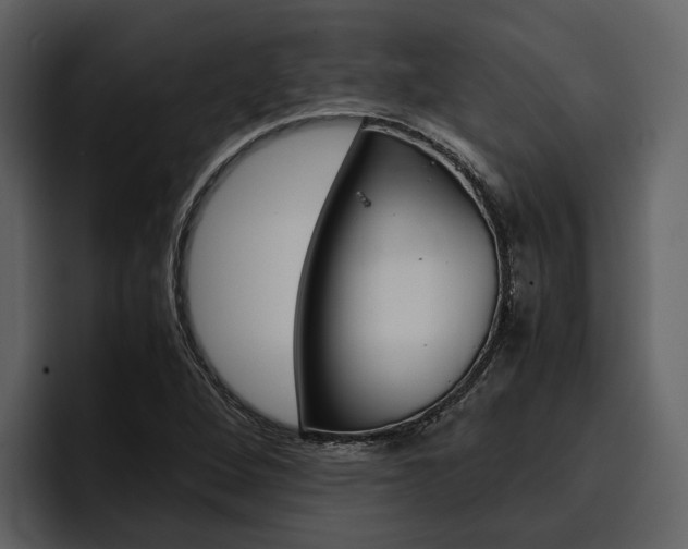 X0000097481264200802220813