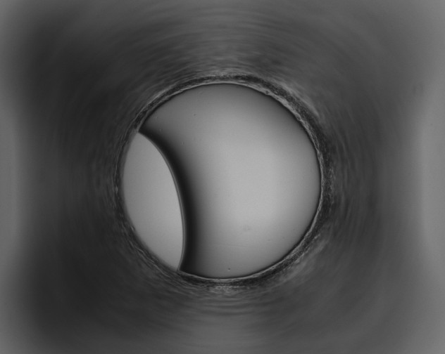 X0000097481265200802220813