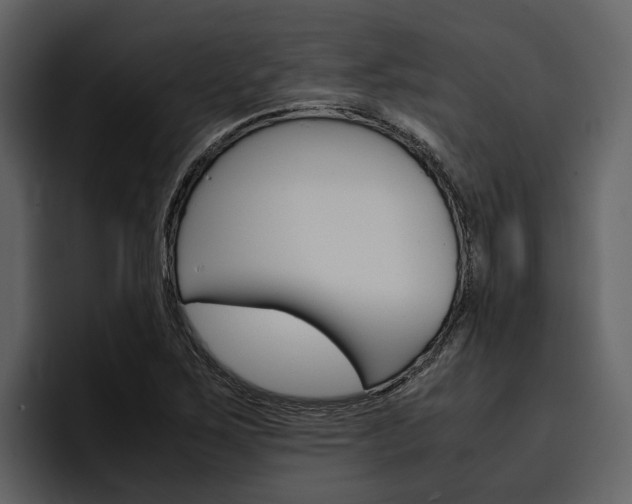 X0000097481267200802220813