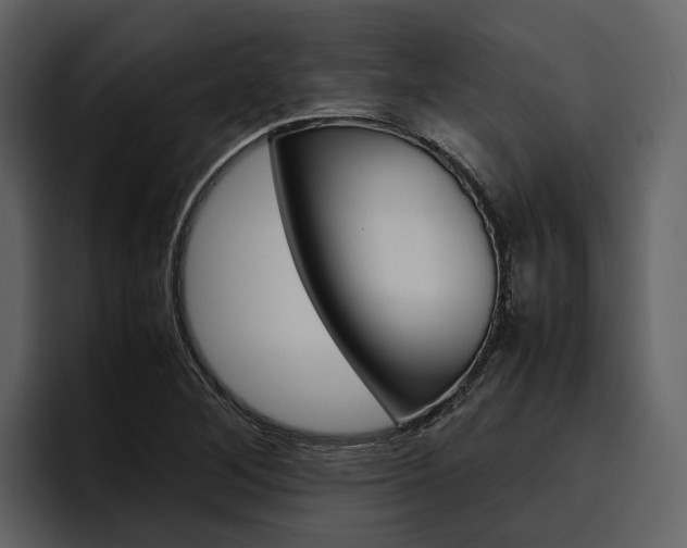 X0000097481268200802220813