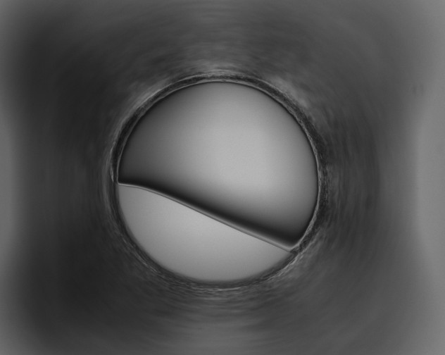 X0000097481269200802220813