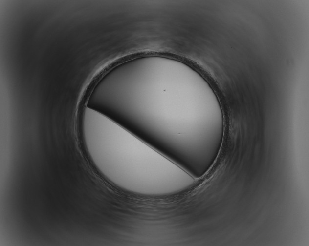 X0000097481270200802220813