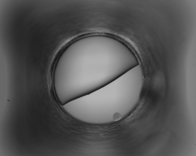X0000097481271200802220813