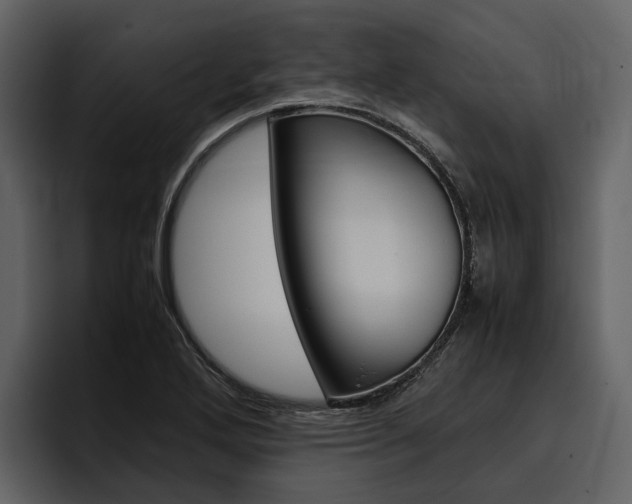 X0000097481272200802220813