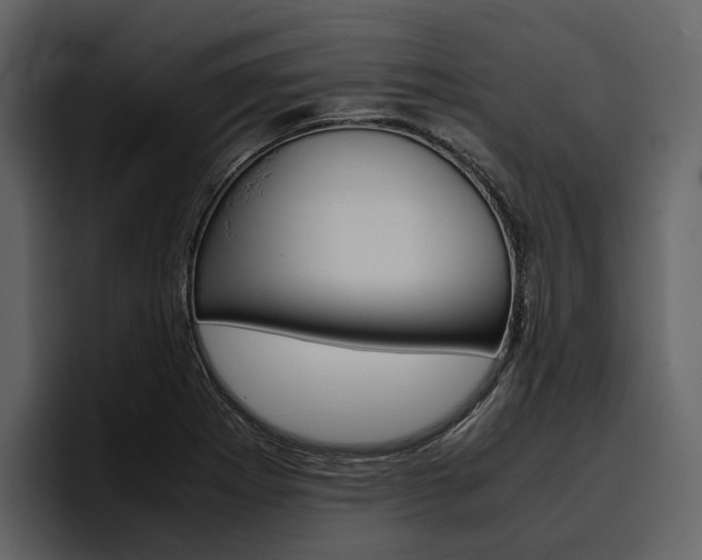 X0000097481273200802220813